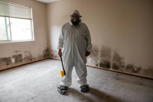 Best Home Mold Removal  in Harper, TX